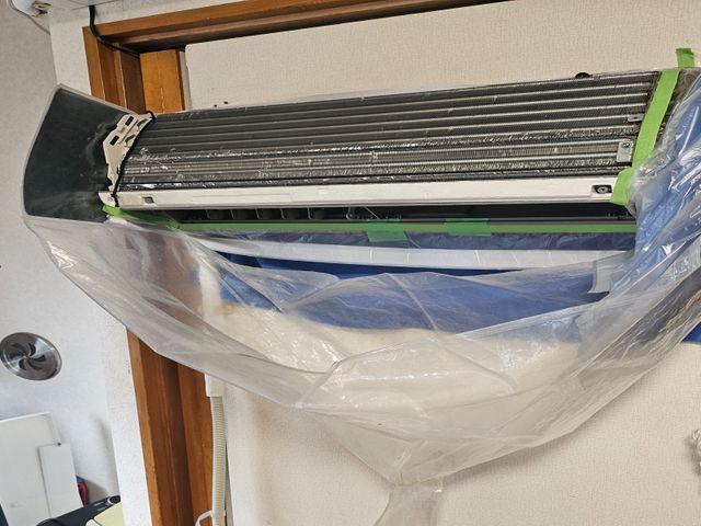 作業の丁寧さとスピードを兼ね備えたプロ