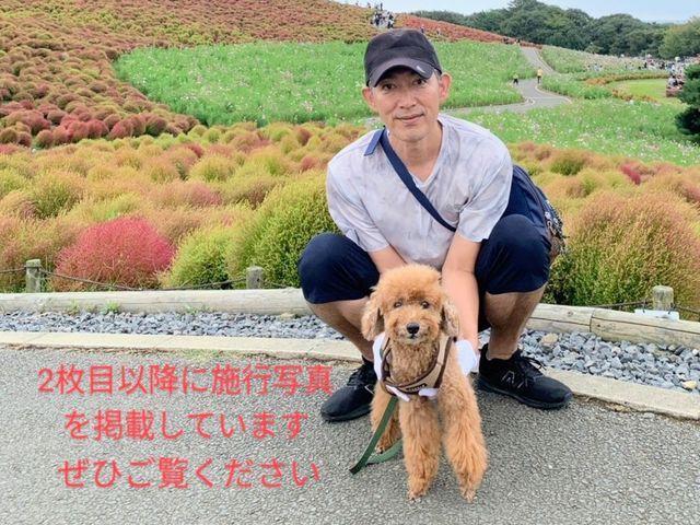 【完全自社施工】　電気工事士・防犯設備士が伺います！　損害保険加入済みで安心です