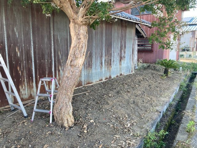 どんなに伸びた雑草でも綺麗に致します。暑い日でも喜んで対応させて頂きます！