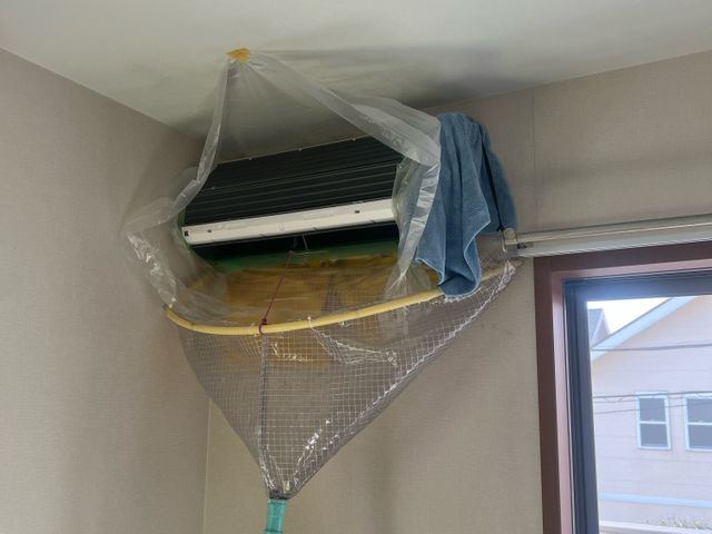 【新規出店キャンペーン】清潔・安心・丁寧☆ニオイも汚れも解決☆損害保険加入済◉