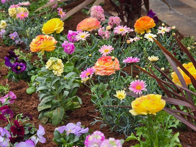 ★花壇の作成から可能★お見積り無料ですのでまずはお気軽にご相談ください❀