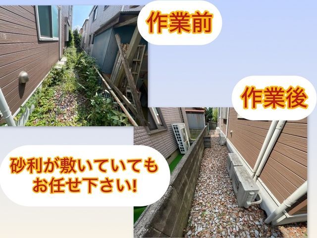 草取り、草むしり