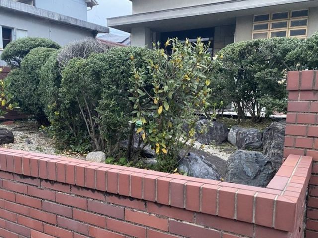 植え込み・生垣の剪定　どんな状態でもお気軽にご相談ください！