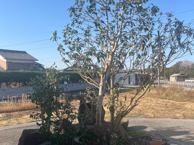 【23年/1万件超の実績】大手経験を活かして、心を込めて丁寧に◉損害保険加入★