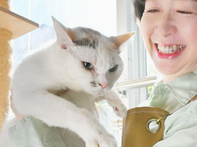 ★新規出店キャンペーン中★1/6まで、保護猫活動や大手シッターで豊富な経験あり❣