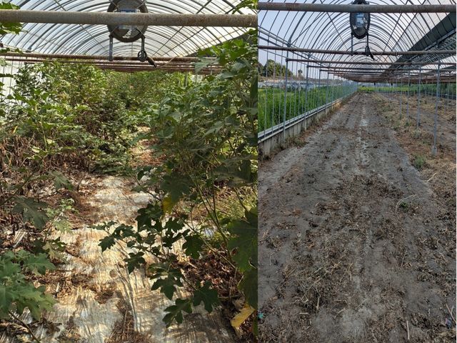 ある程度の斜面も対応！即レス即対応で住宅から法人まで多数実績の安心サービス