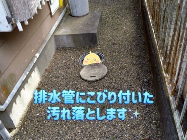 プロが行う配水管洗浄！※ご自宅外周の汚水蓋を開き、配管を洗浄するサービスです。