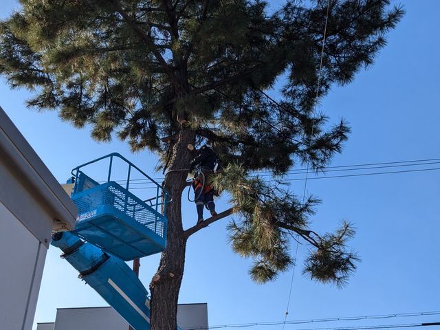 【店長訪問】どんな場所でも基本作業可◎〜まずは予約前にご相談ください！〜