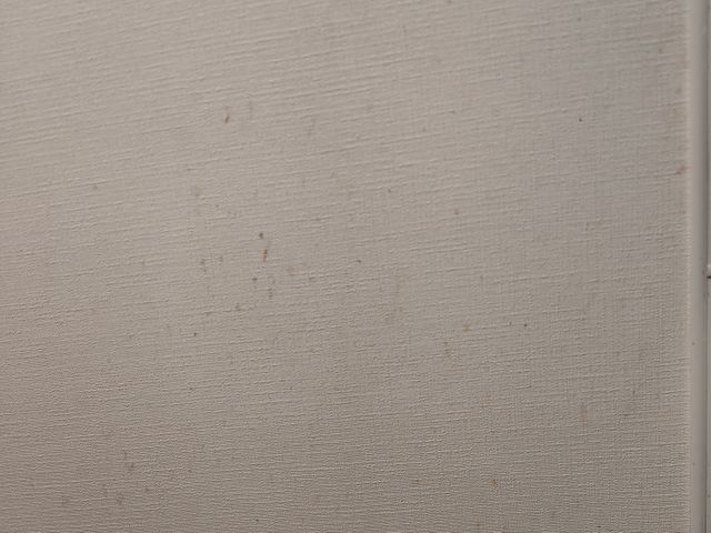 ◎年中無休◎プロの技術でご満足いただけるように心を込めて作業いたします