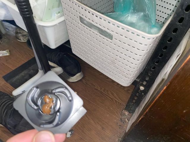 スピード返信★24H対応