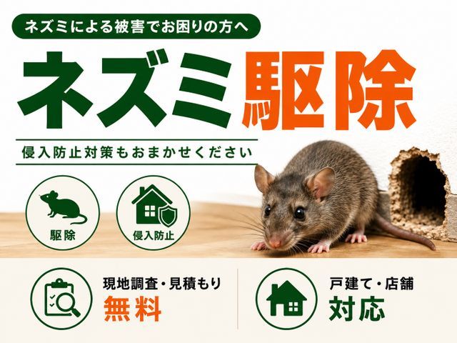 【ネズミ駆除実績1万件以上】大手消毒会社10年在籍／即日対応も可／見積り調査無料