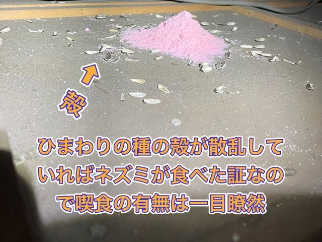 【ネズミ駆除実績1万件以上】大手消毒会社10年在籍／即日対応も可／見積り調査無料