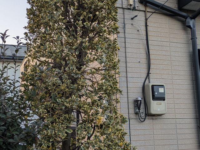 経験27年のSTAFFが、ご満足いただけるように心を込めて剪定します。