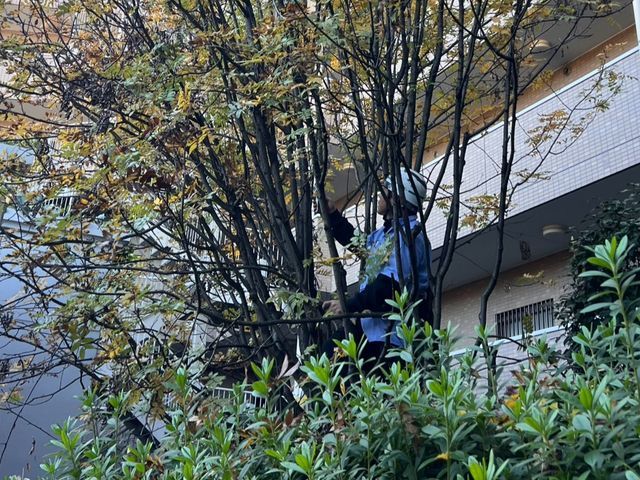 プロの技術でご満足いただけるように心を込めて作業いたします