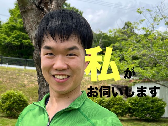 スズメバチ巣1個9,500円　高所、大きさ５０㌢以上は相談下さい（即日対応可能）