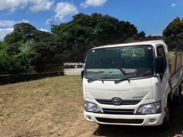 即日対応＆安心定額！庭木伐採・抜根