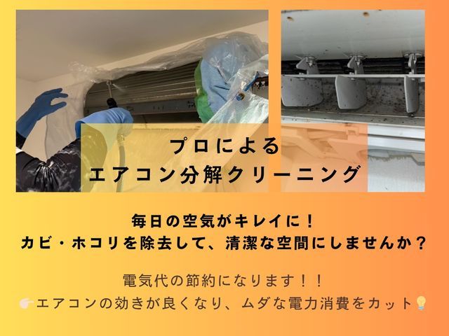 2台目~割引あり♪繁忙期前CP実施！通常8500円→8000円