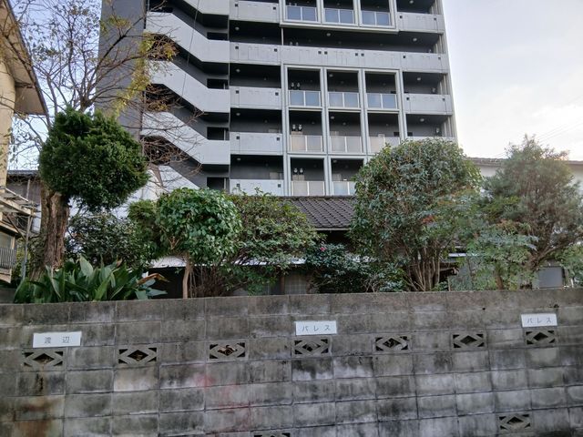 電信柱級の高木も対応！剪定のプロと便利屋の二刀流でお庭のお悩み一括解決