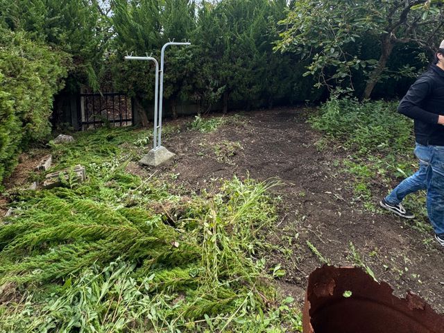 草むしり手作業