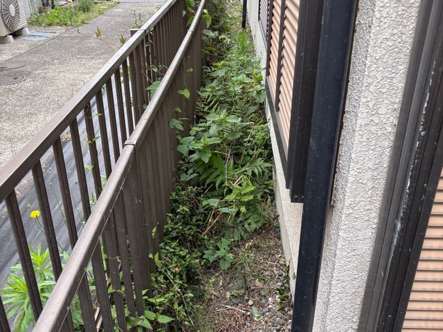 お庭の草むしり作業