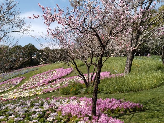 プロの技術でご満足いただけるように心を込めて作業いたします