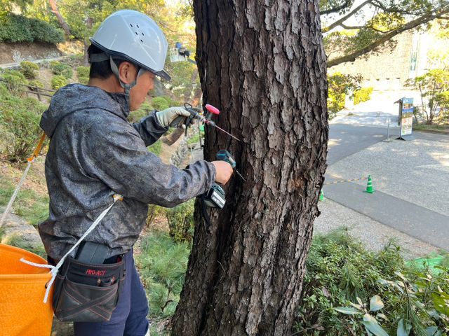 プロの技術でご満足いただけるように心を込めて作業いたします