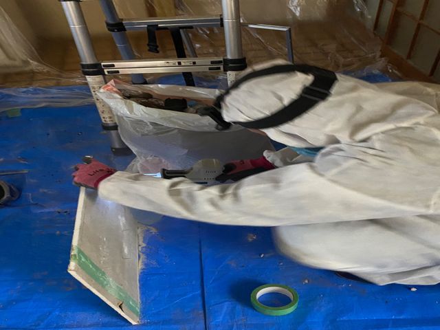 アライグマ、ハクビシン対策駆除