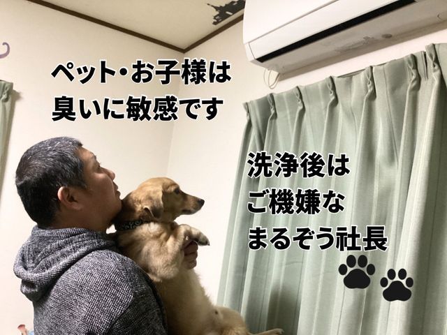 ◆孫が産まれましたので幸せのお裾分け◆一台8500円→6000円◆4月のご予約◎