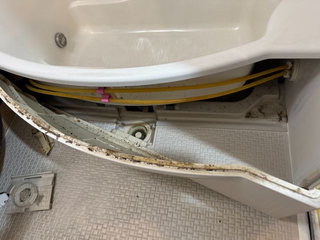 ご覧いただきありがとうございます！