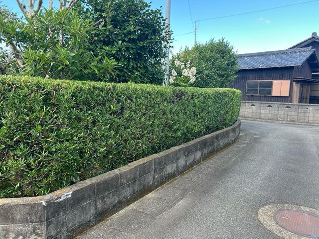 チョット待った！生垣の管理でお困りの方必見！ピシャっと気持ち良いお庭にしましょう