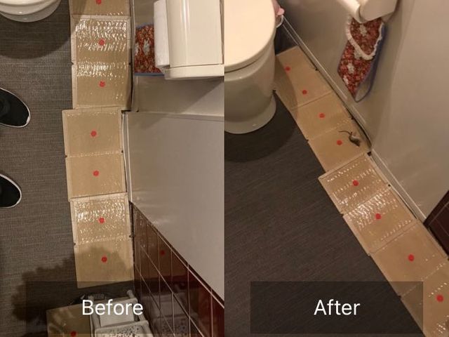 ＊関西＊業歴25年以上の信頼と実績＊国家資格有り＊★5年連続アワード受賞店★