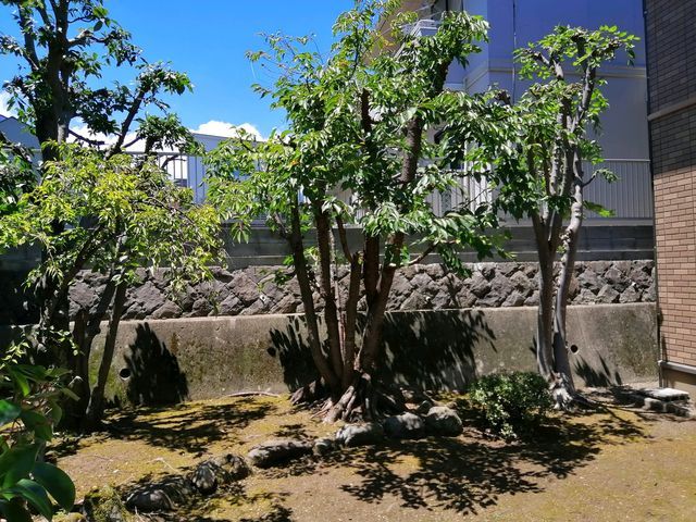 プロの技術でご満足いただけるように心を込めて作業いたします