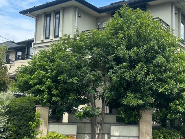 ◆◇12月新規出店◇◆日本滞在25年以上の国際派職人◎