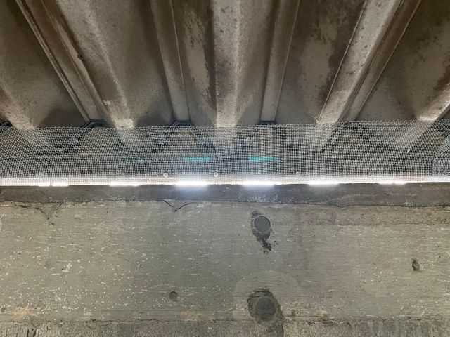 24H/最短当日施工可能！関東対応！侵入口徹底閉鎖&必ず完全駆除！業務用薬剤込み