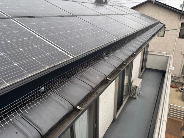 鳩駆除なら任せんしゃい！経験と知識を活かして迅速丁寧に作業いたします