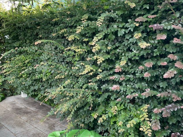 業界歴30年以上！穏やかな職人が近隣への配慮も怠らず一貫して丁寧に仕上げます