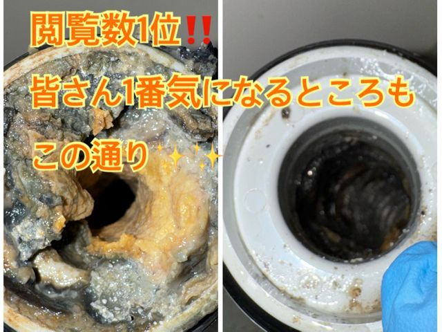 【★5率No.1】元調理師学校講師が室内&外まわり排水管全てを、徹底洗浄します！