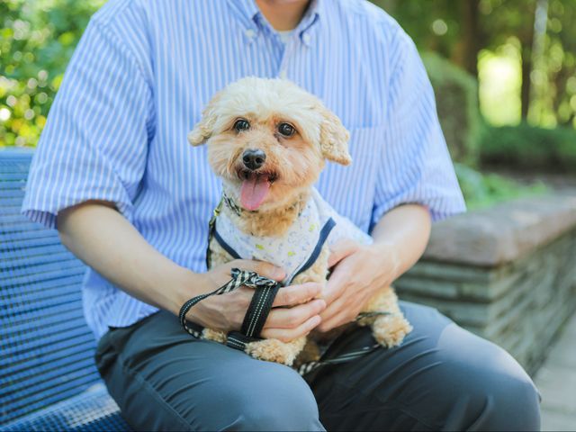 <割引有>ペットとのかけがえのない“今”を、 やさしく丁寧に写しとる写真時間