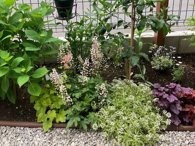 旅行中、留守中、体調不良時の植物の水やりは、おまかせください。