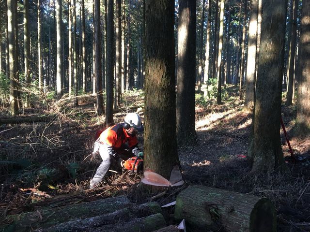 【11月出店】林業経験10年の職人☆高所作業可能！