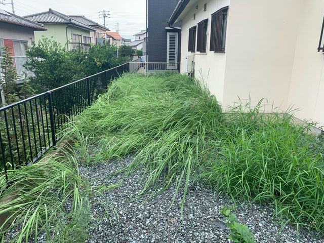 《地域密着！立ち合いなしも可》安心・丁寧・迅速対応！お庭の草むしり除草サービス