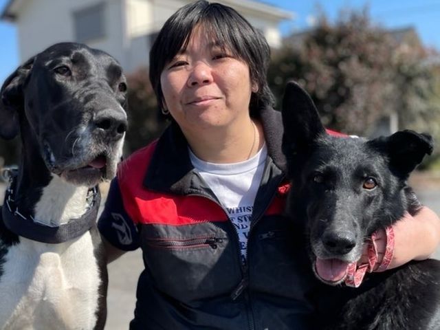 わんちゃんのしつけ、トレーニング