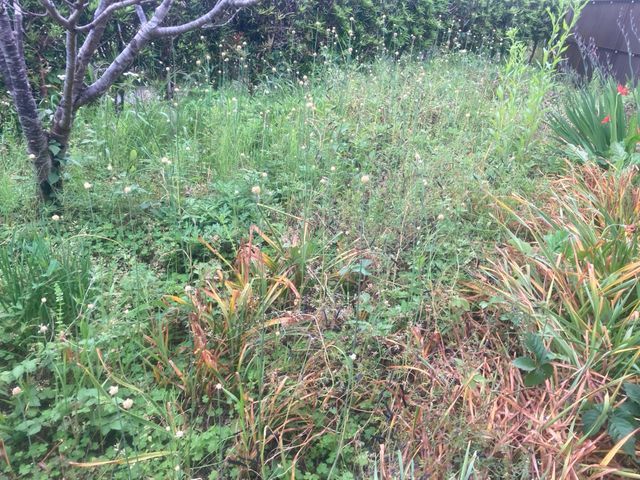 女性スタッフもおります。ご希望の方はお気軽にお声かけください♪