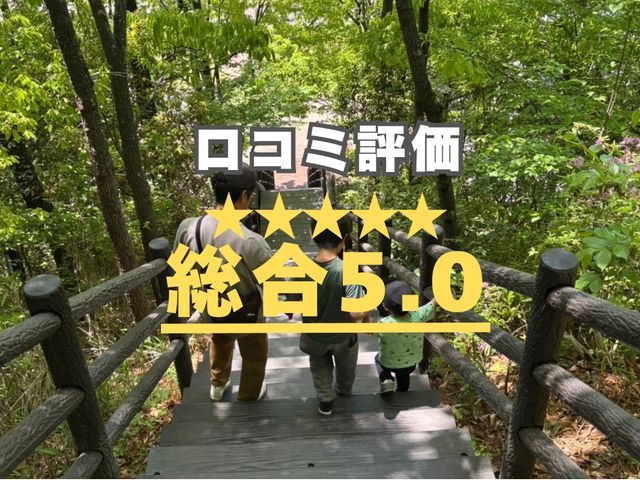 抜根専門のサービスです！伐採後の切株でお困りでしたらご相談ください！