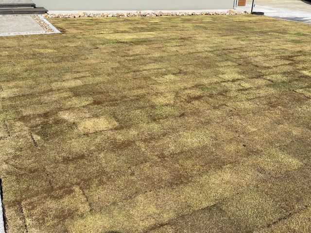 【お庭を緑で清々しく】心地いいお庭へ！