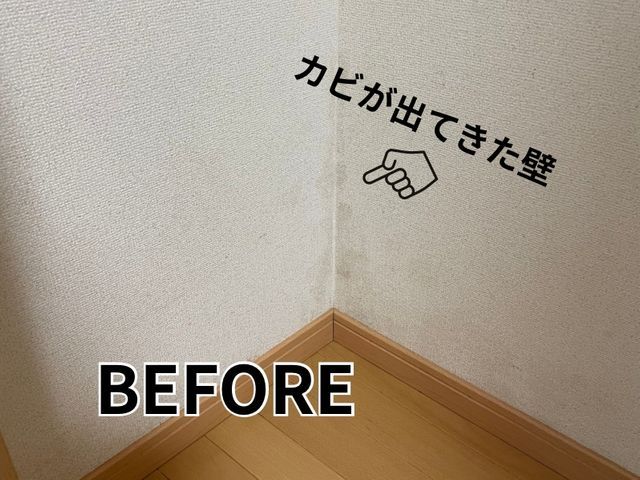 お部屋・トイレ・脱衣所のクロス張替え／水回り小工事も対応サービスの画像