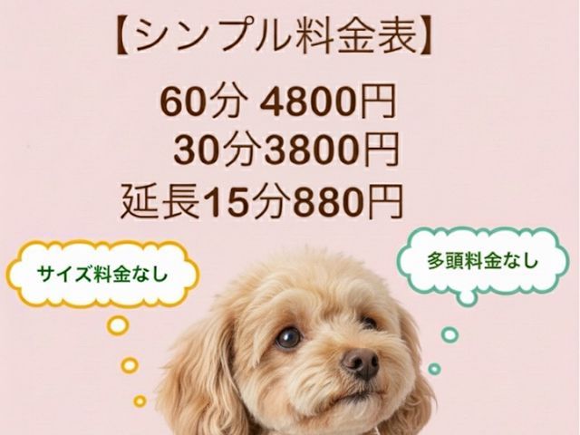ペットシッター専門店で経験を積んだプロが対応！女性スタッフ 60分4800円