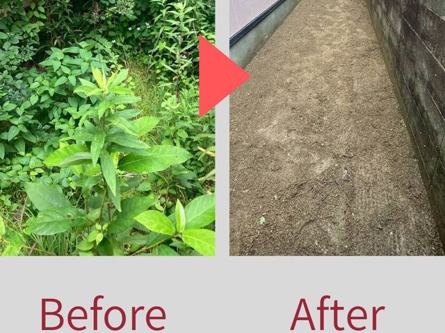 草刈り（草刈り機）