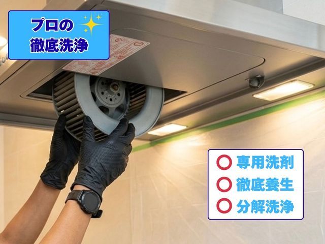 【出店記念価格】◆職人歴5年以上◆非喫煙者◆油のギトギト丸投げOK！