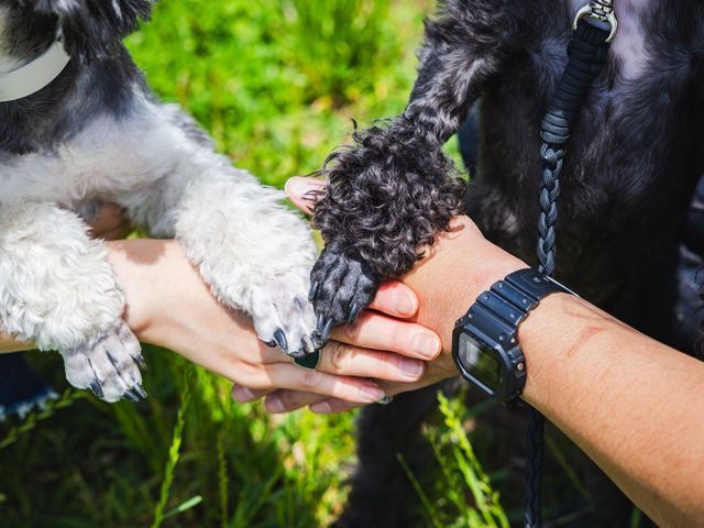 好きな場所で好きな家族と思い出を残そう！